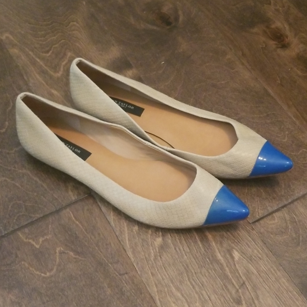 Ann Taylor Pointed Flats Size 7.5